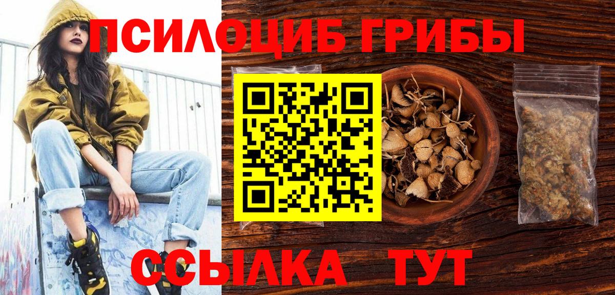 Псилоцибиновые грибы Psilocybine cubensis  Вход с VPN  Саратов  Псилоцибиновые грибы Psilocybine cubensis 