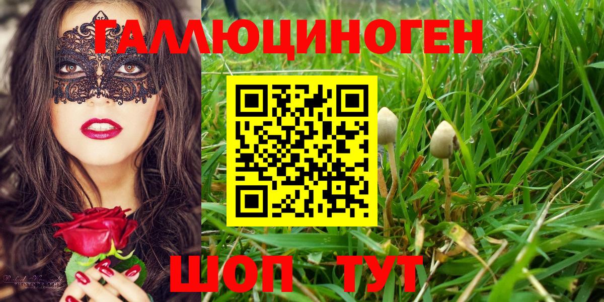 Галлюциногенные грибы мицелий Саратов